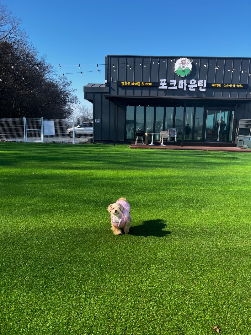 애견동반 식당&운동장