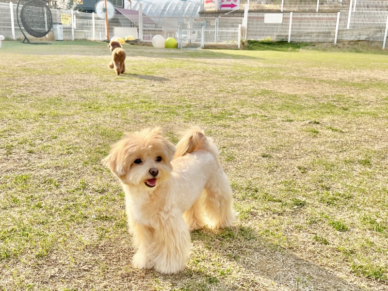 더마을펜션!