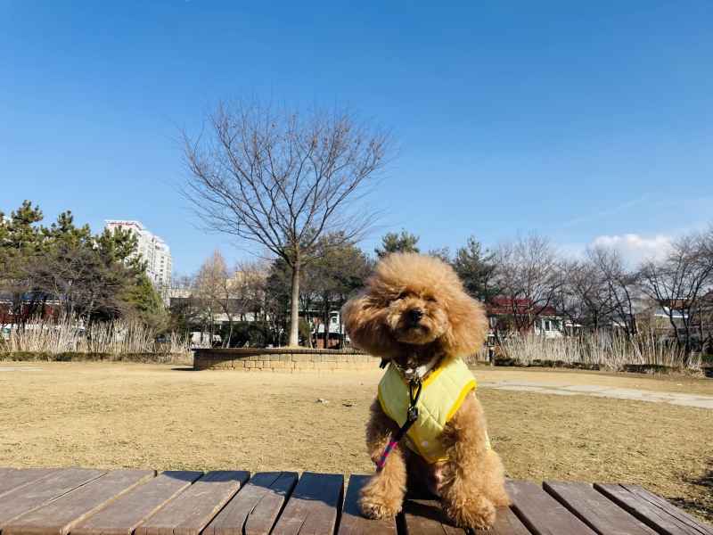 봄이 오려나봐요