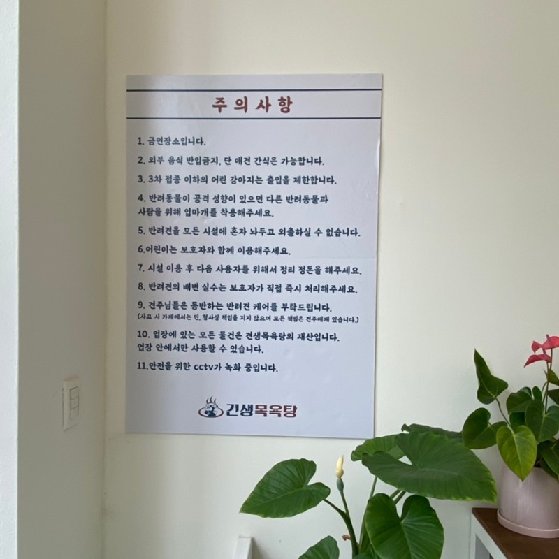 은평구 24시애견셀프목욕  '견생목욕탕'