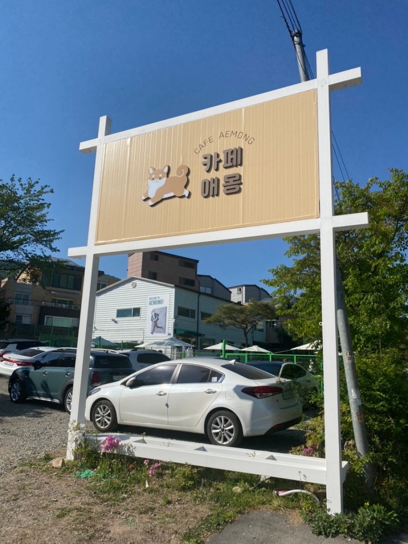 서울 근교 애견운동장 '카페애몽' 