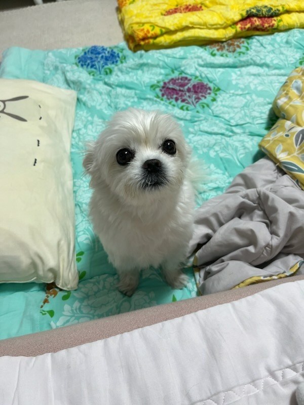 간식을 안줄때