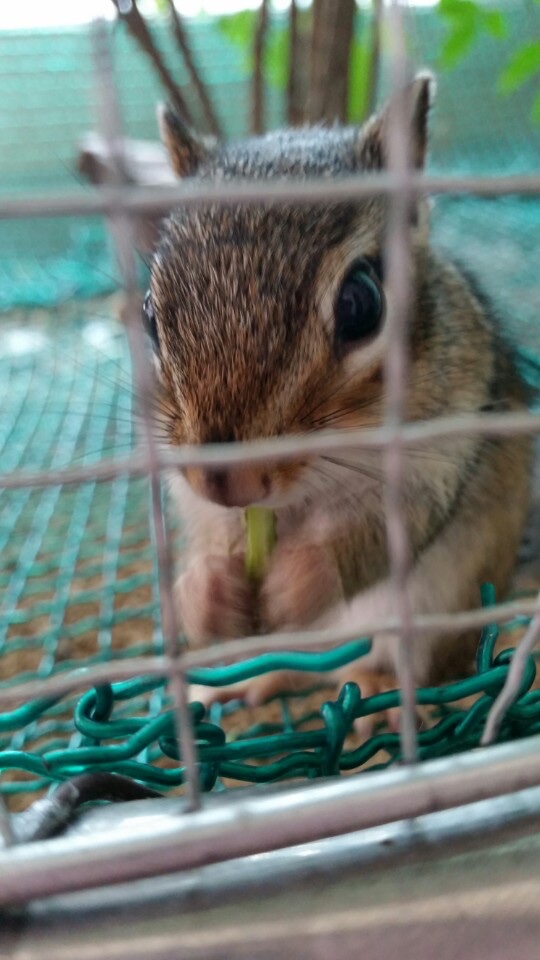 오늘 아침밥은 특식이군!