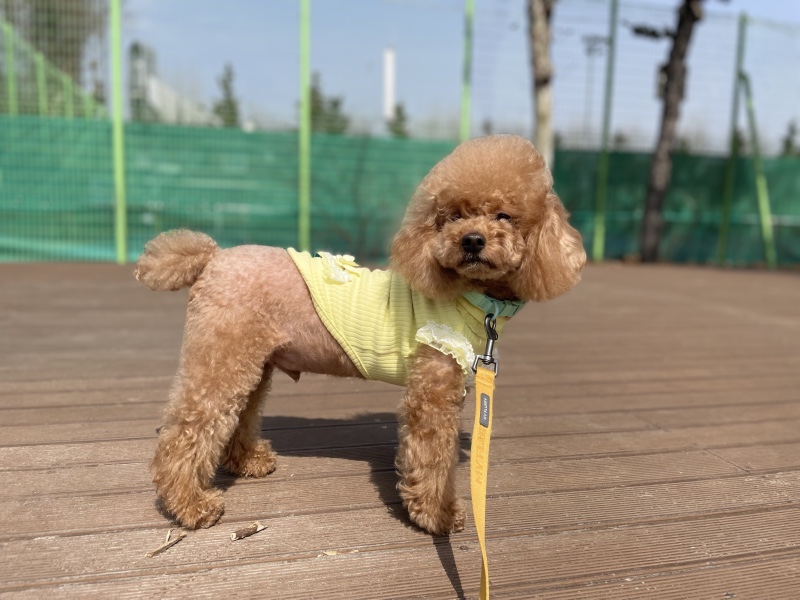 산책하기 좋은날