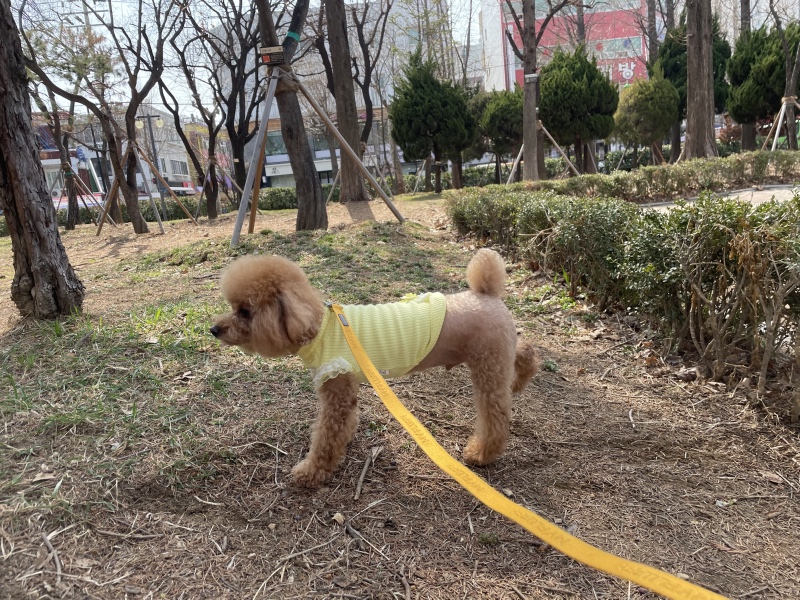 산책하기 좋은날