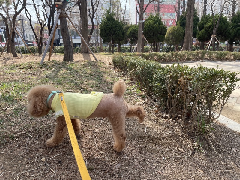 산책하기 좋은날