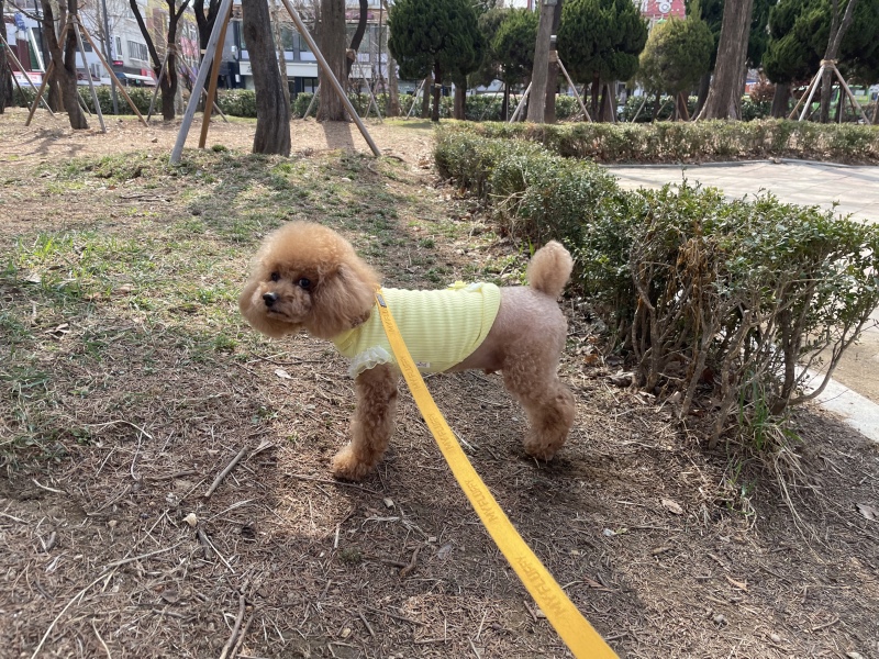 산책하기 좋은날