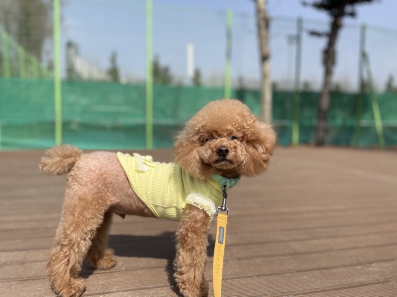 산책하기 좋은날