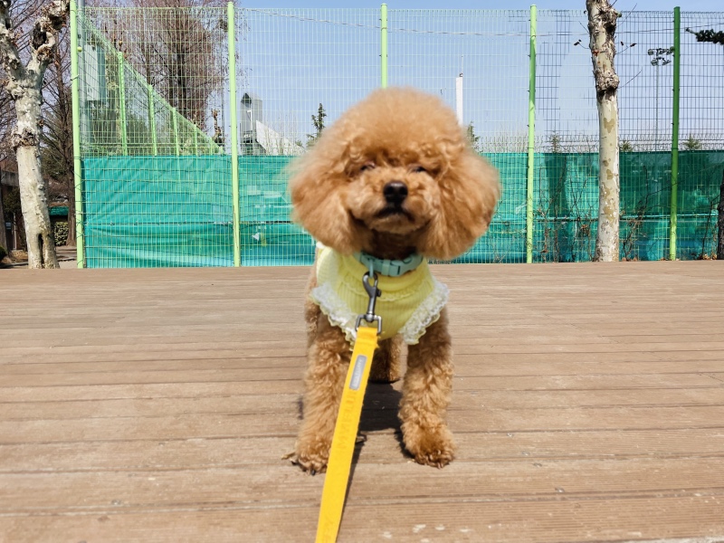 산책하기 좋은날