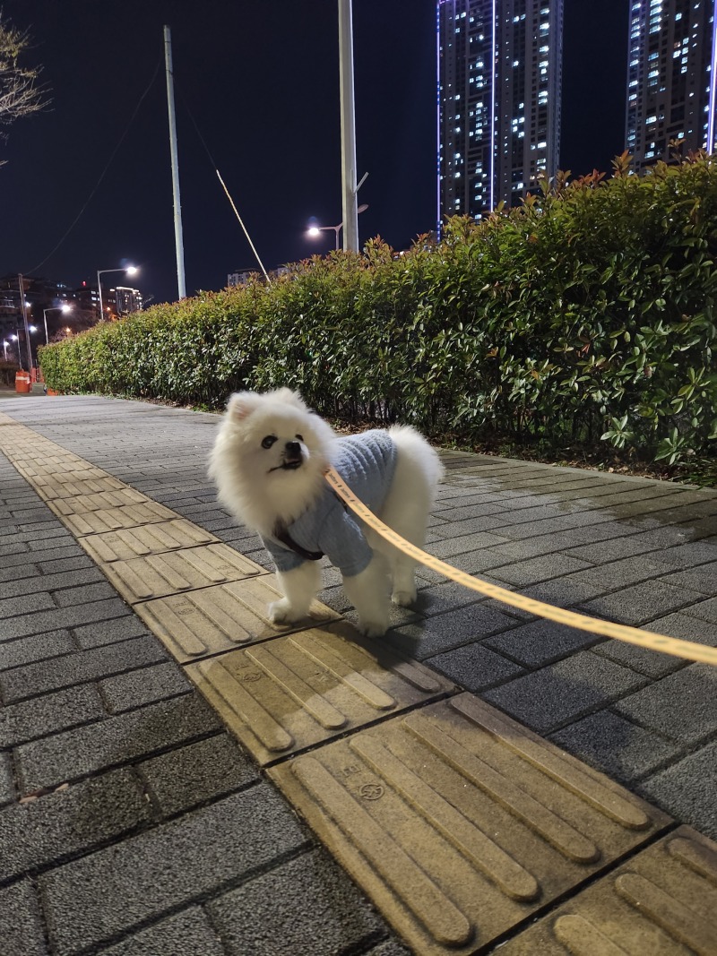 우리 뿡뿡이에오
