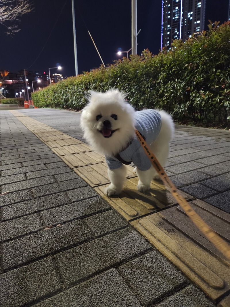 우리 뿡뿡이에오