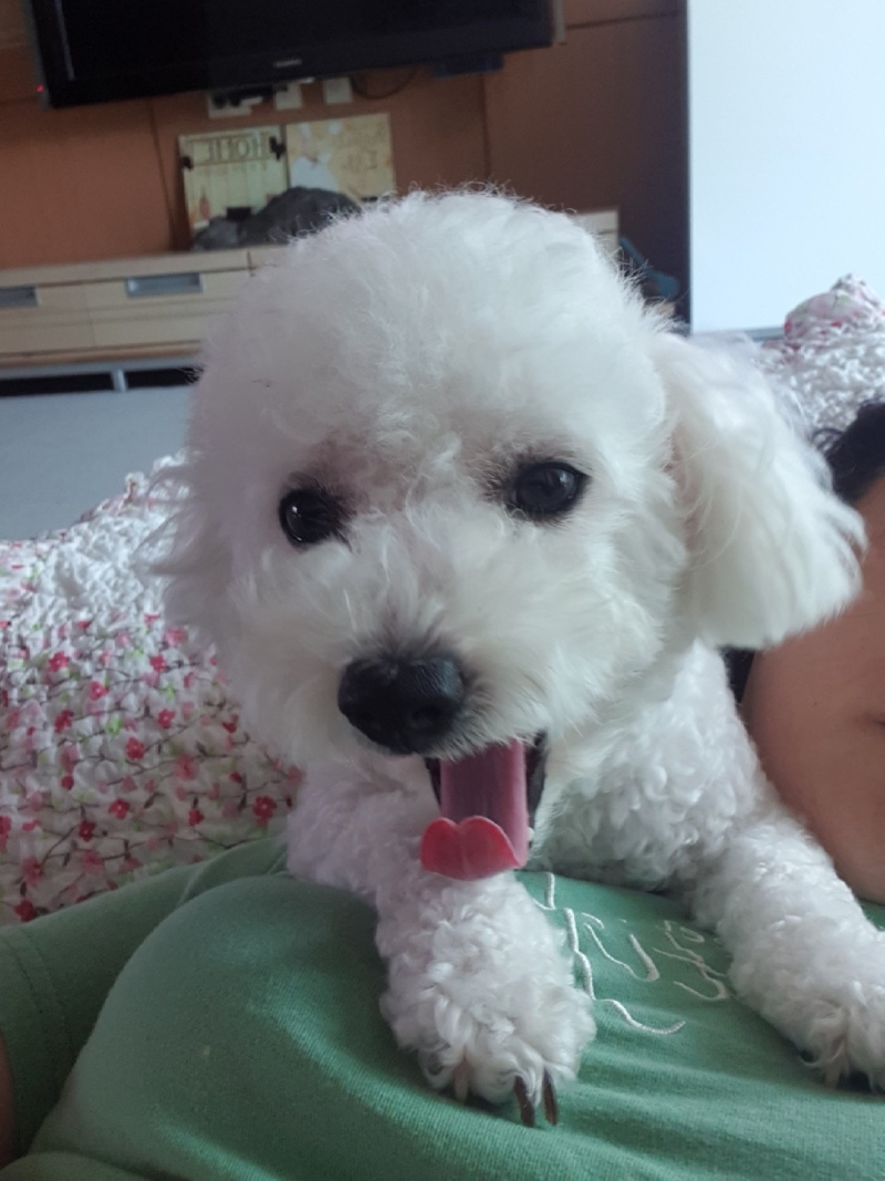 망고를 소개합니다~