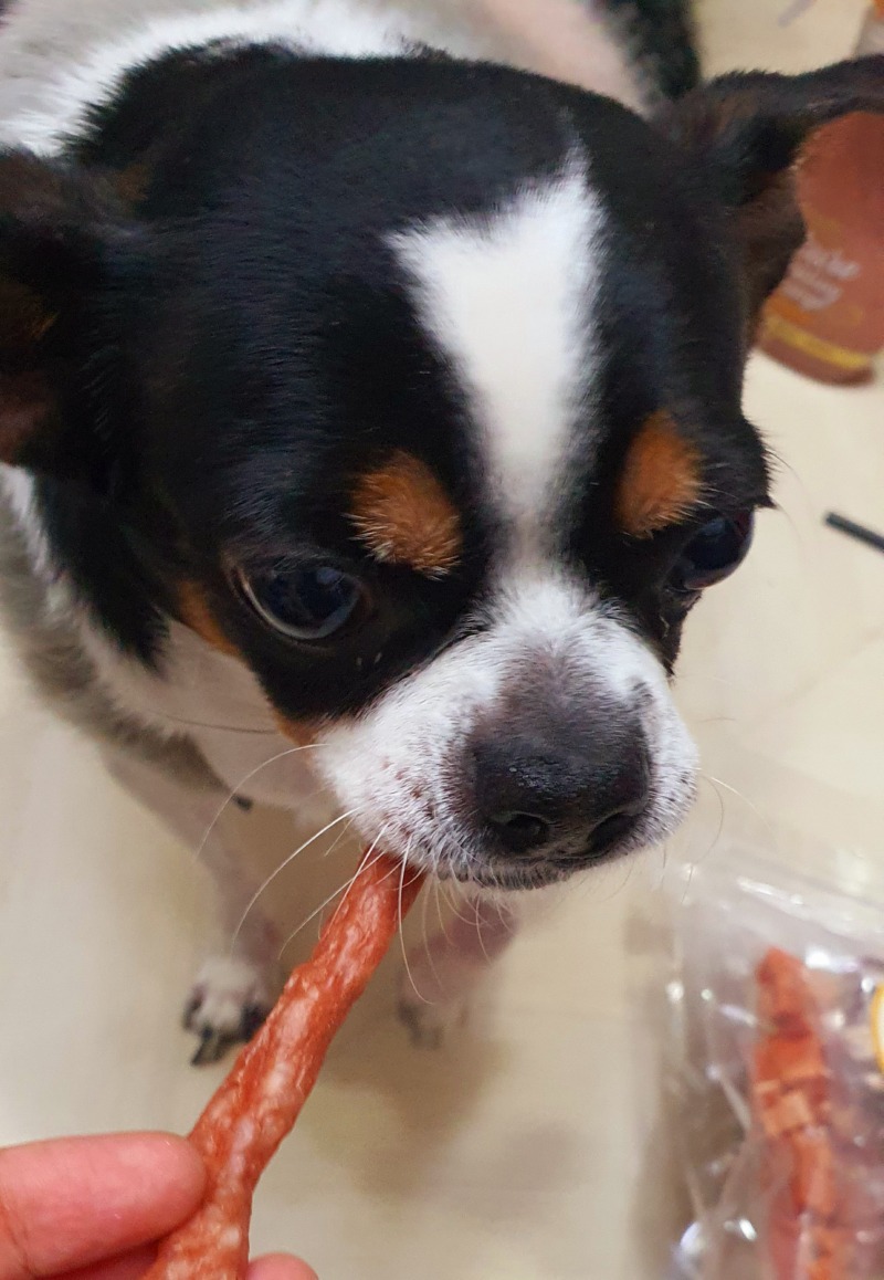 간식만 찾는 사랑이
