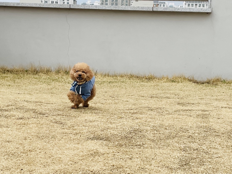 운동장은 즐거워