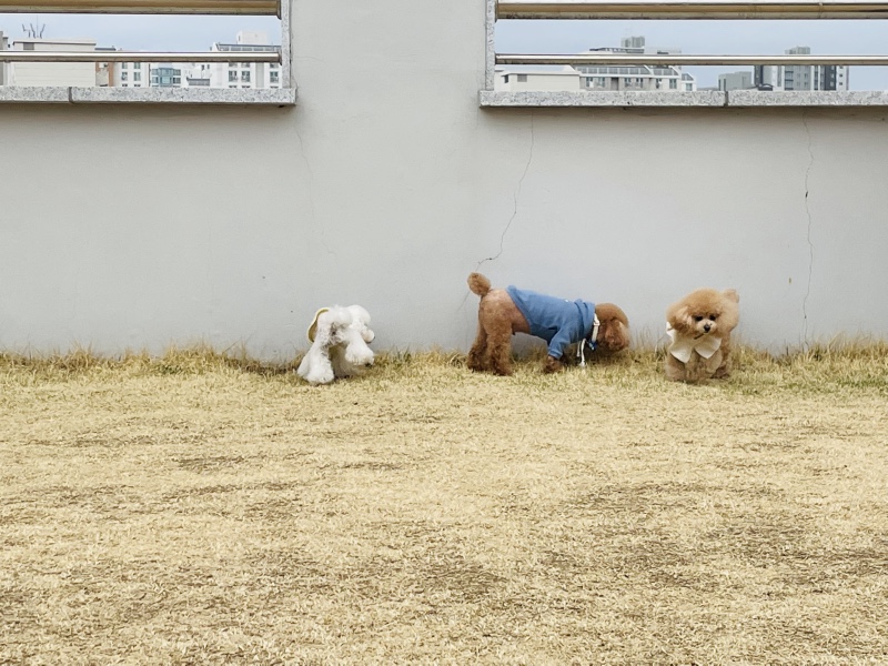 운동장은 즐거워