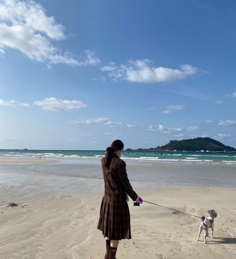 가을이   뱅기 타다