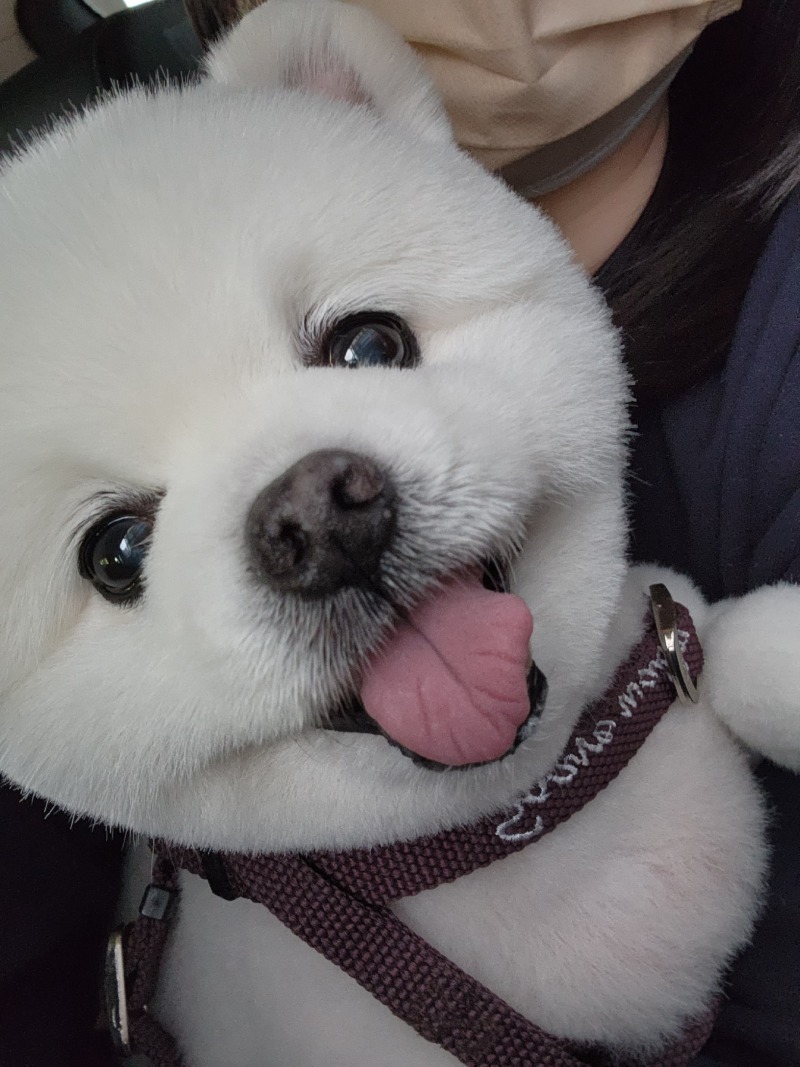 우리 뿡뿡이에오