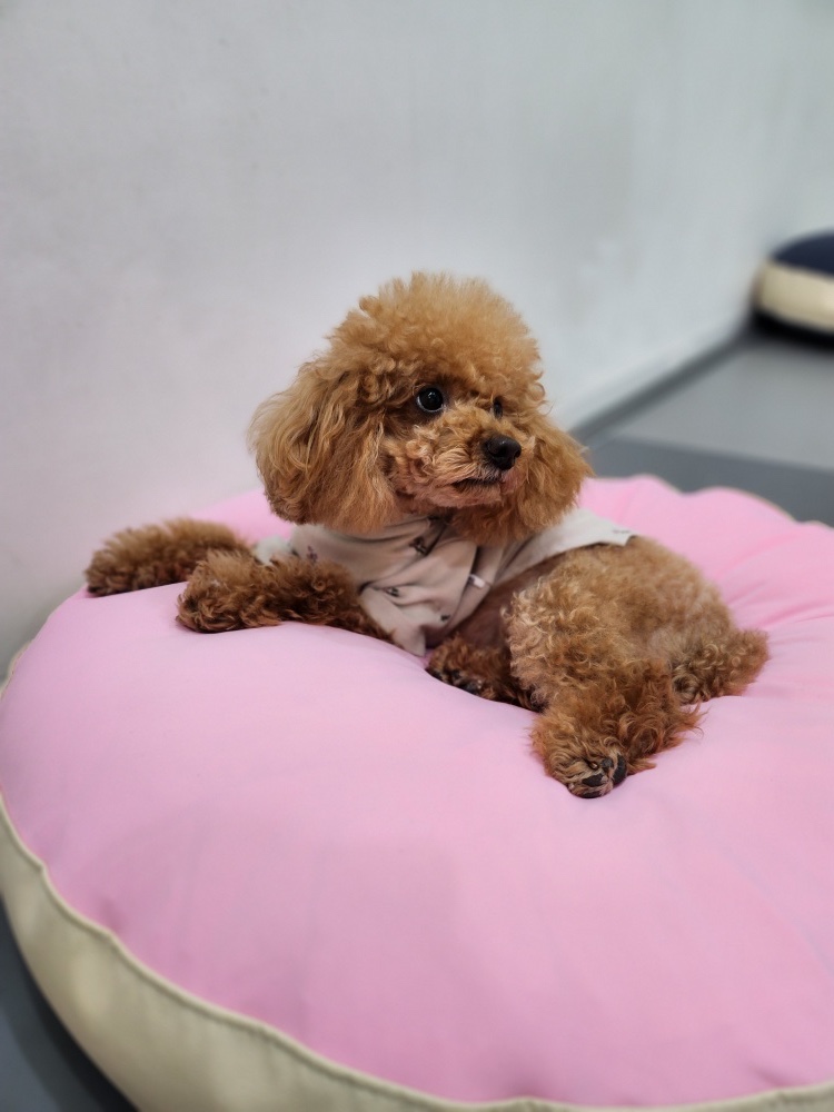 오늘은 컨디션이 안좋아요