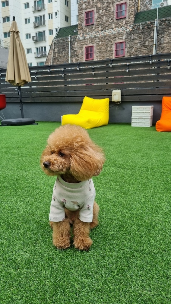 오늘은 컨디션이 안좋아요