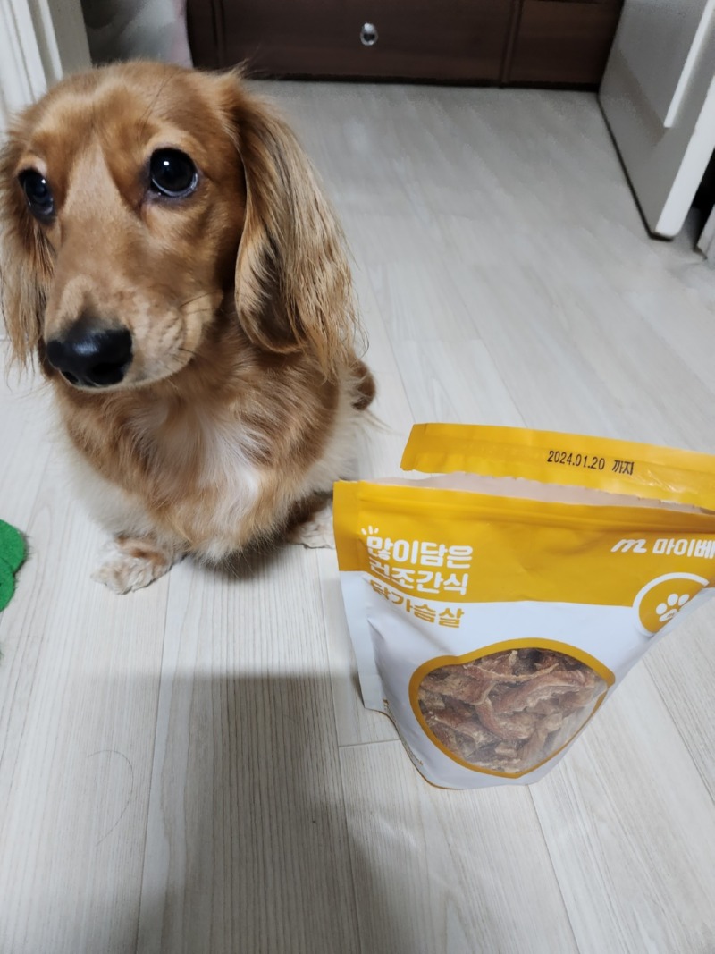 건조간식 닭가슴살 뜯는 콩이