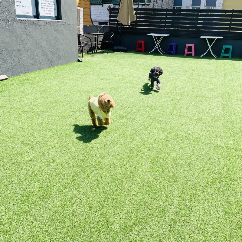 오랜만에 만난 친구