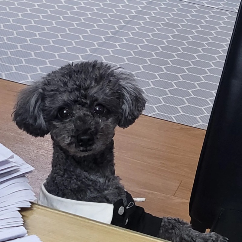 우리 막내동생이예요