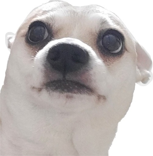우리아리❤️