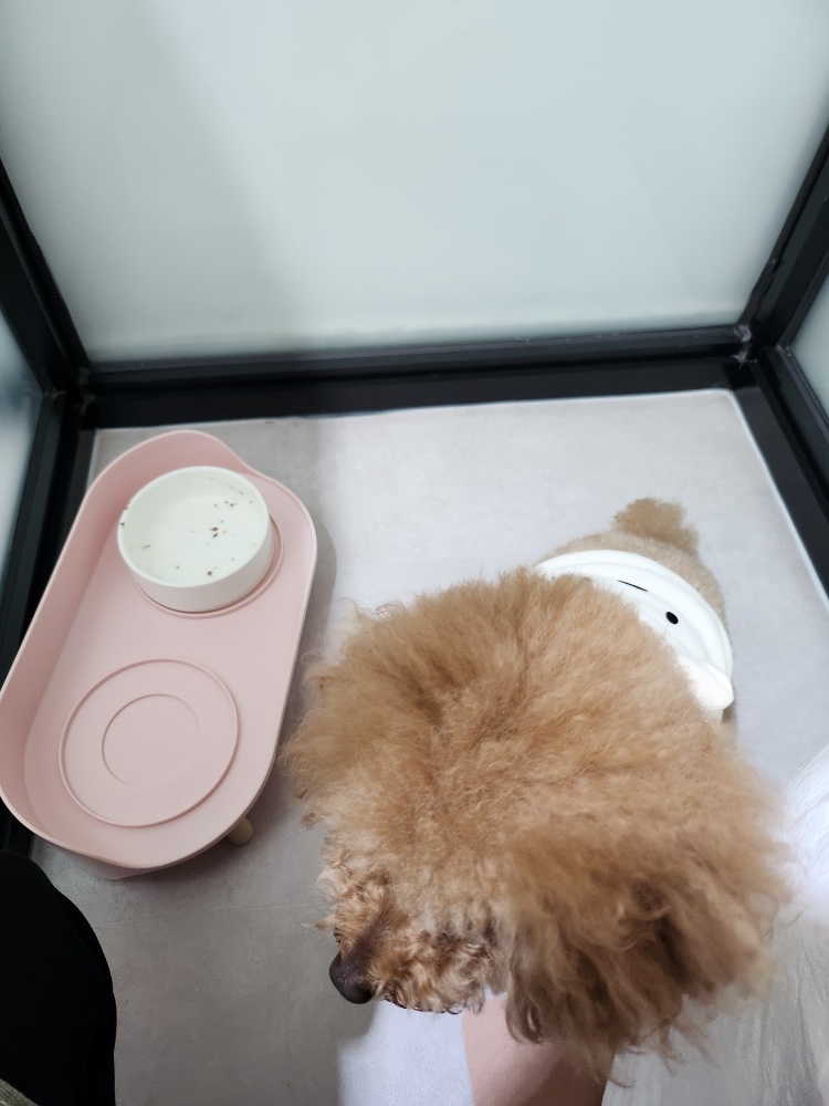유치원에서도 잘지내요!