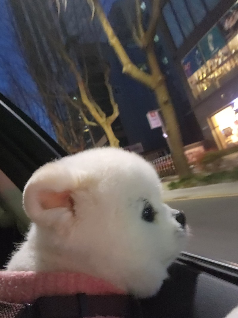 뿡뿡이에오