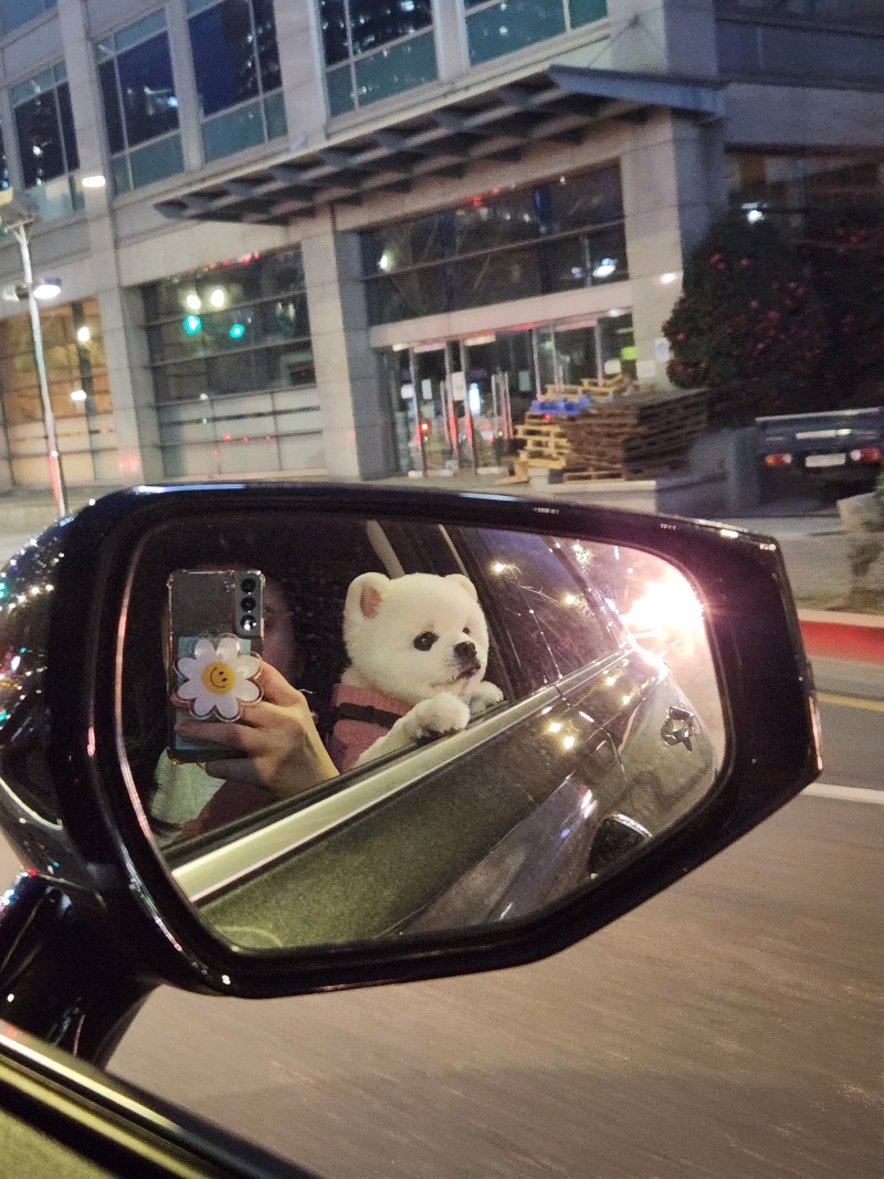 뿡뿡이에오
