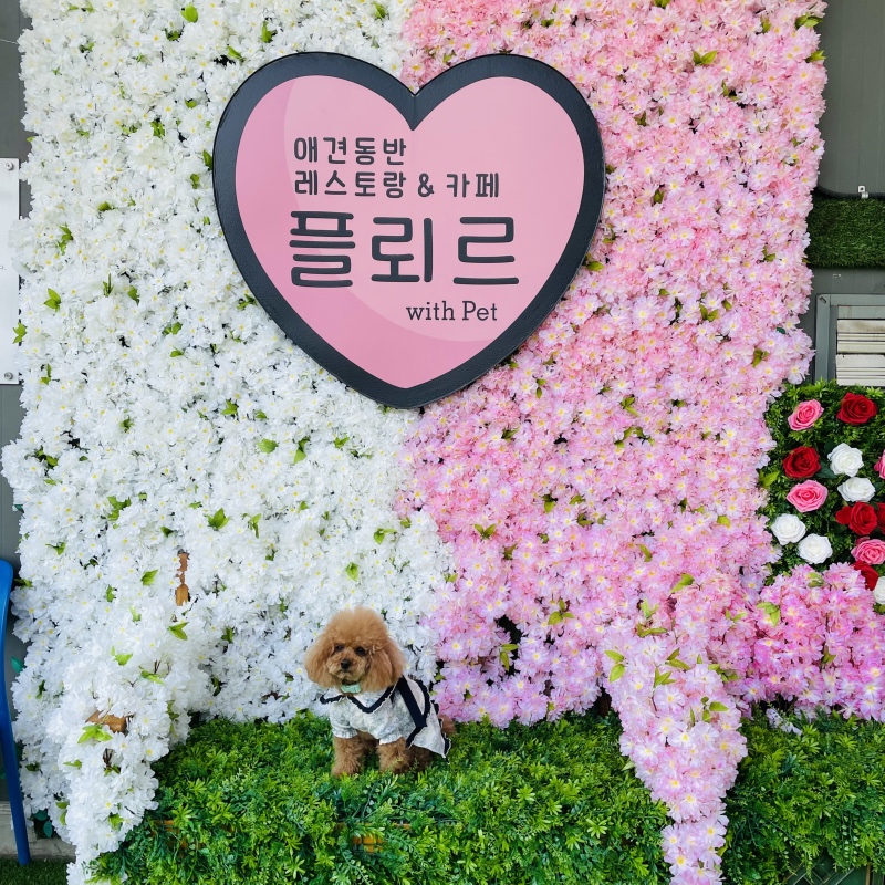 등촌 칼국수 땡길때 플뢰르!