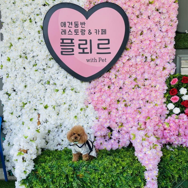 등촌 칼국수 땡길때 플뢰르!