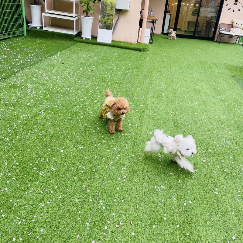 운동장이 세개나 있는 영화산장