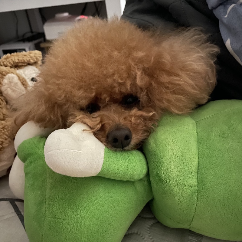 주말은 심심해