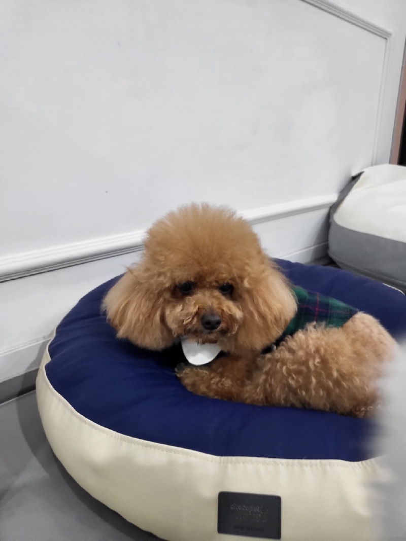 친구들 구경 재밌어요
