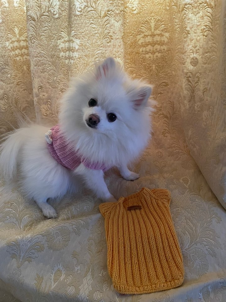 직접 뜨개질한 새옷 입은 애기 ㅎㅎㅎ