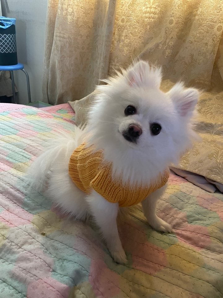 직접 뜨개질한 새옷 입은 애기 ㅎㅎㅎ