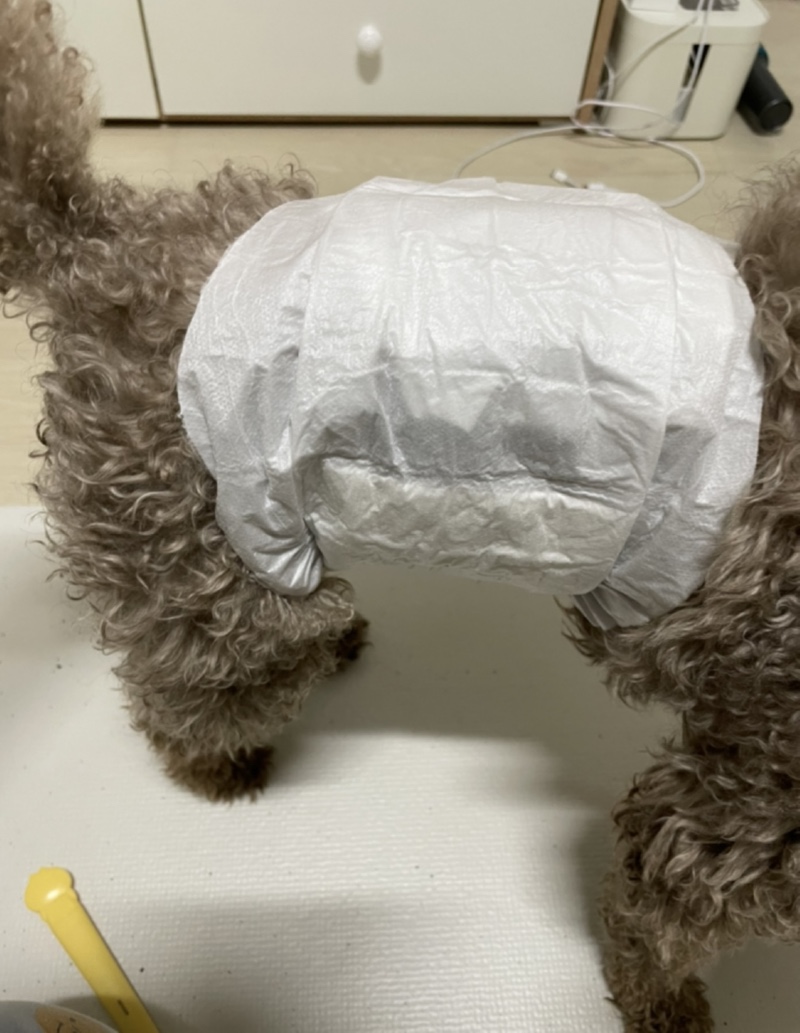 IMG_0429.jpeg