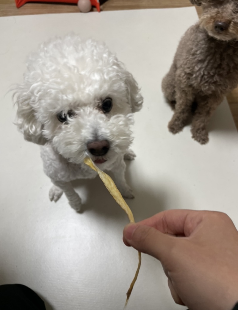 IMG_0436.jpeg