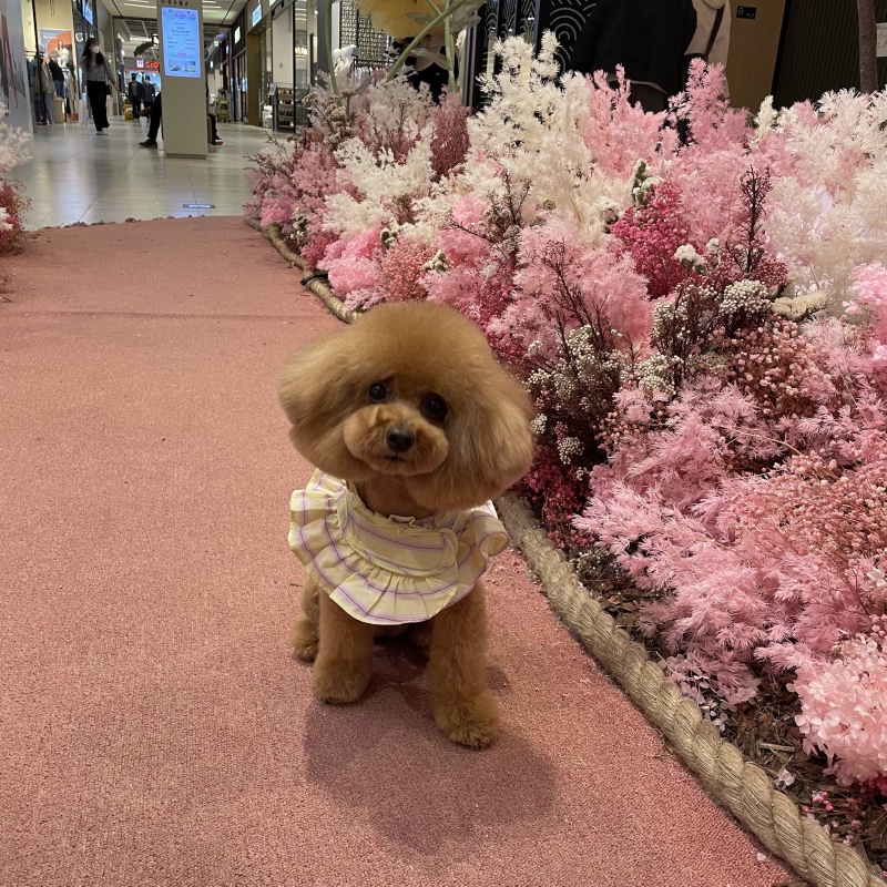 미용했어요