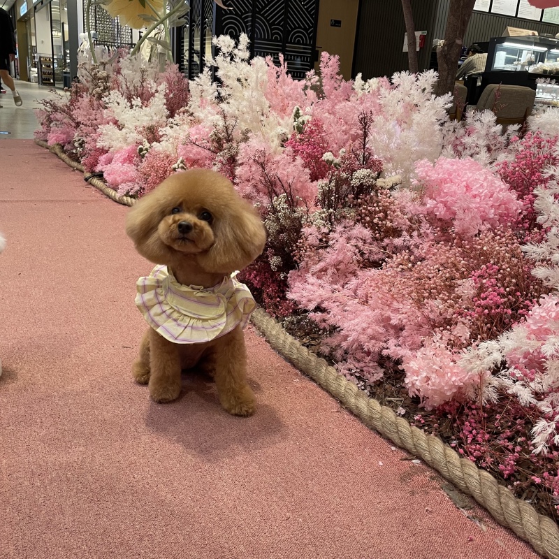 미용했어요