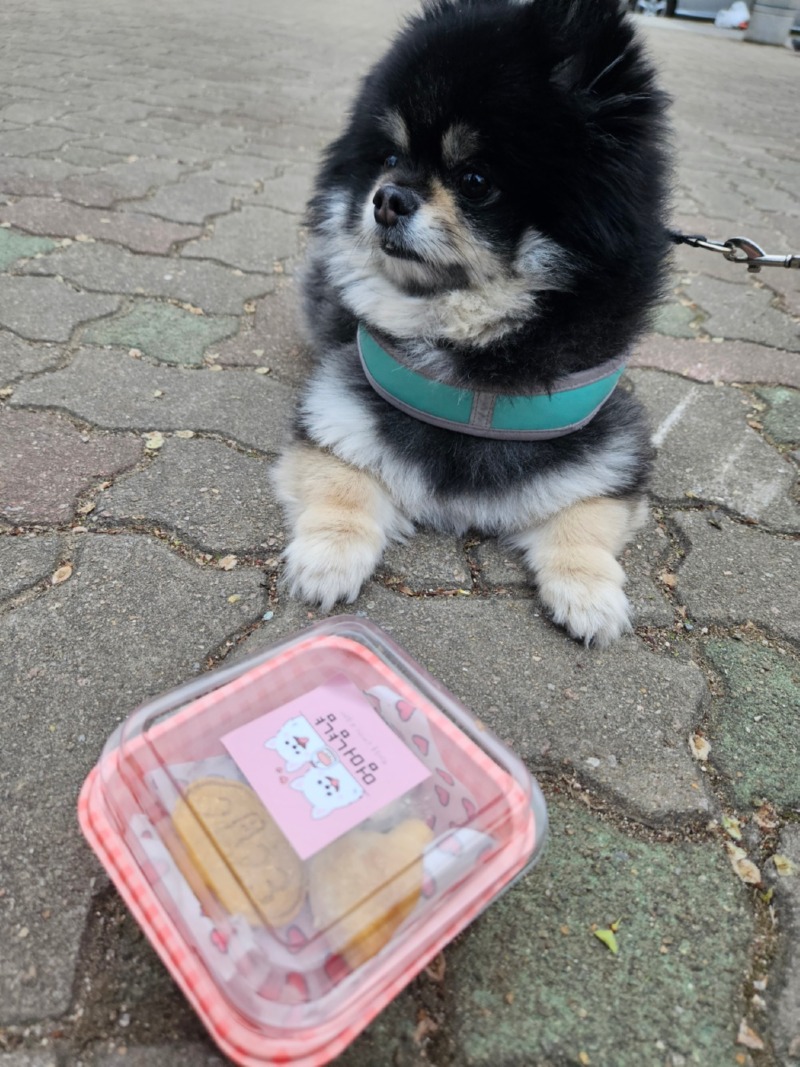간식 먹는 깜순이