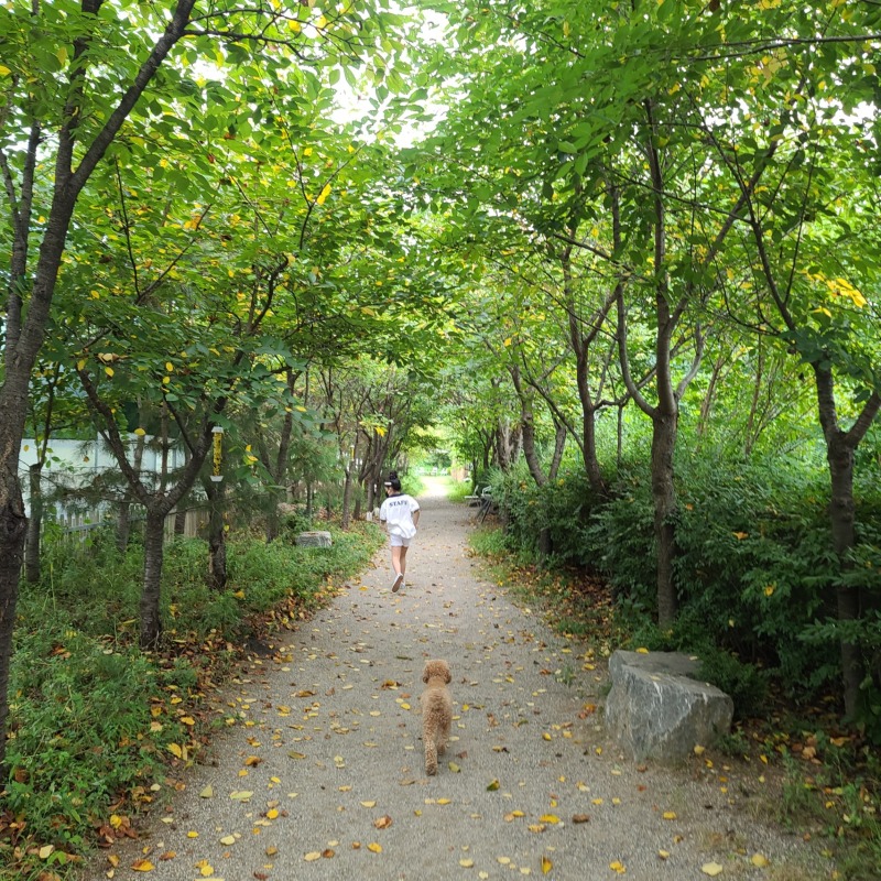 파주 힐링그라운드