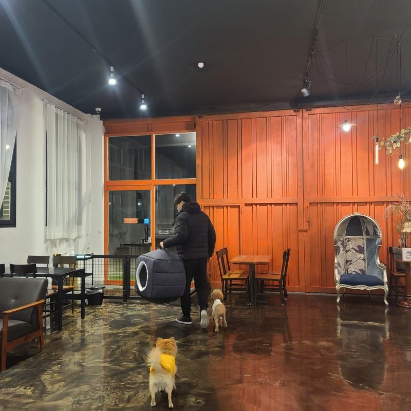 용인 애견동만 헤이그애견카페