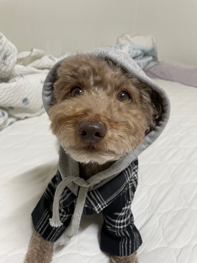 예쁜 선물 받았어요! 
