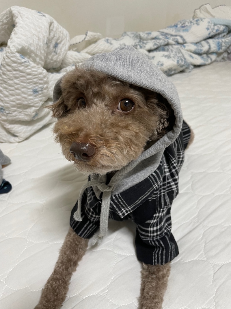 예쁜 선물 받았어요! 