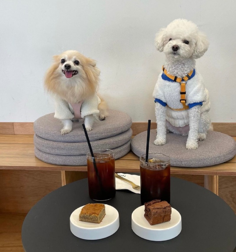 커피가 정말 맛있는 애견동반 포츠커피