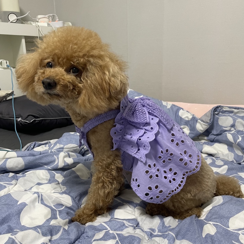 새 옷 입었어요