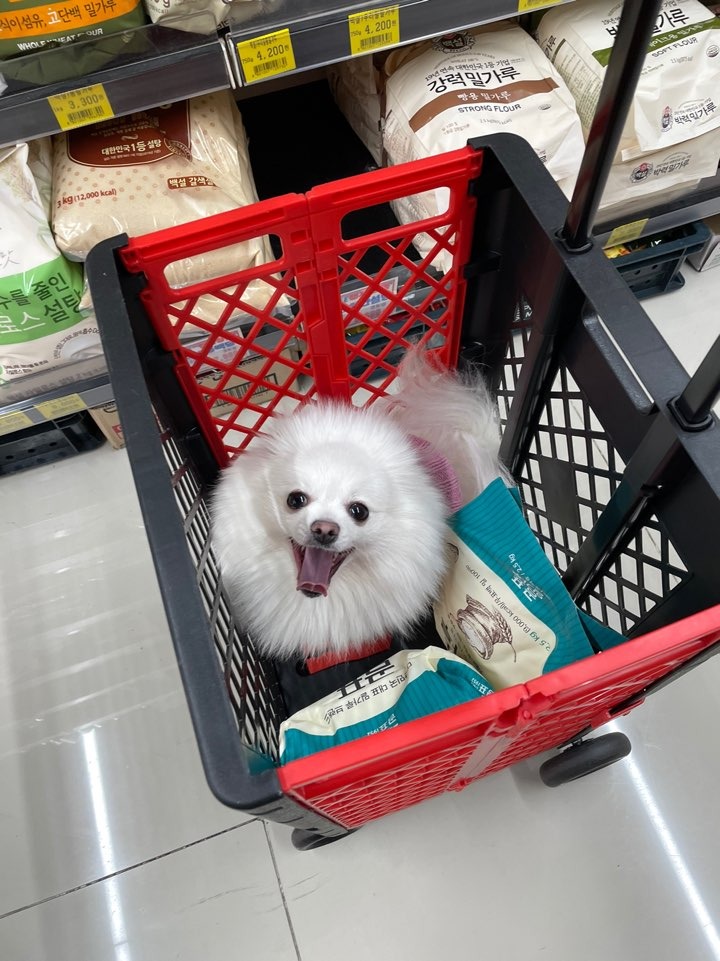 장보러 가서 잠깐 넣어놨어요 +_+ㅎㅎㅎ