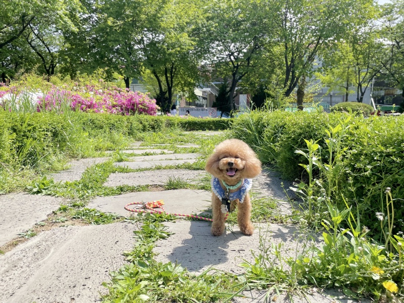 날씨가 너무 좋아요